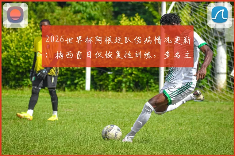 2026世界杯阿根廷队伤病情况更新:梅西首日仅恢复性训练,多名主力有伤在身