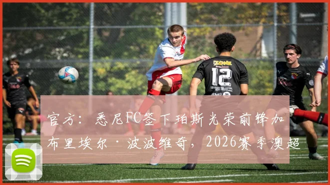 官方：悉尼FC签下珀斯光荣前锋加布里埃尔·波波维奇，2026赛季澳超转会动态解读